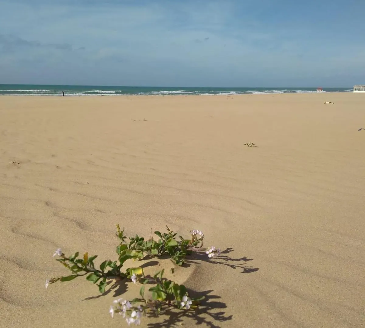 Casa Trieste Scoglitti Apartment